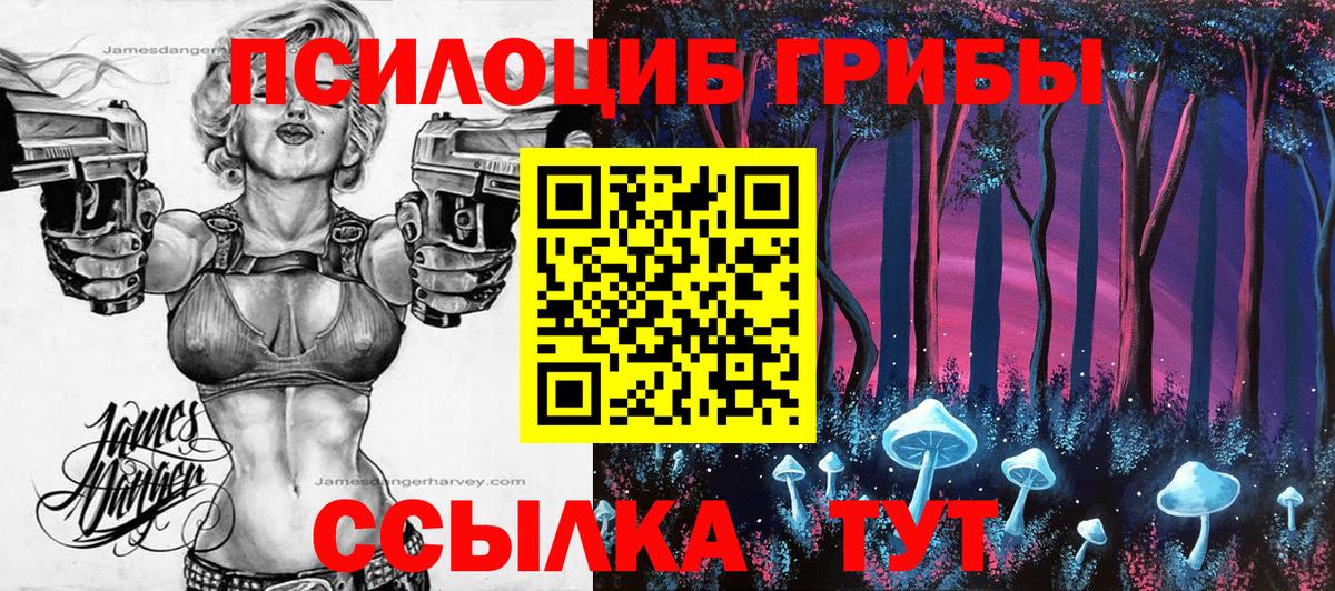 Камышлов  Галлюциногенные грибы Psilocybe  Галлюциногенные грибы GOLDEN TEACHER  Вход с VPN 